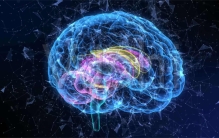 欧盟建立人类脑计划 现在进行的如何（科学计划）