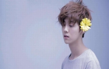 什么叫鹿晗效应?鹿晗人气有多高?评论破1亿登上吉尼斯