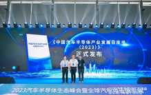 两份十强榜单亮相！2023年汽车半导体企业专利排行榜绘制创新版图