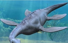 水中最强的恐龙排行榜,沧龙水中霸主无敌