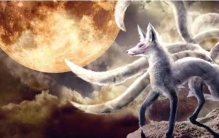 东北的出马仙是怎么回事「聊一聊东北出马仙之什么是出马仙」