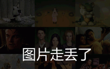 白鳍豚灭绝了吗，已功能性灭绝