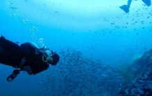 东南亚十大潜水胜地，马拉西亚仙本那位居第四