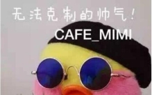 “鸭界”新网红玻尿酸鸭，看到就想捏(萌萌哒表情包)