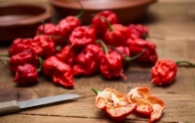 世界上最辣的辣椒威力如何「世界上最辣的食用辣椒」