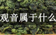 铁观音属于什么茶?一种半发酵茶类，是乌龙茶中的极品