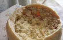 活蛆乳酪为什么被禁止？乳酪里面有活虫跳动简直惊悚