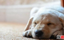 世界十大恐怖病毒 埃博拉可让活人融化惊悚至极