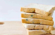 霉菌是什么?没有实体的分支状真菌（导致食物产生毒素）