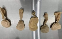 太吓人了  女子胸口藏5条蛇被海关拦下  经确认全部是玉米锦蛇