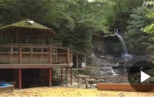 日本流水面致892人中毒 中毒原因是什么