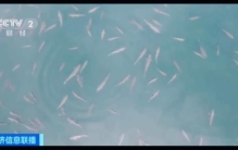 关于抚仙湖的神秘传说,传说中的抚仙湖