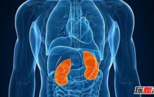 男人吃什么补身体?男人养肾最佳10食物