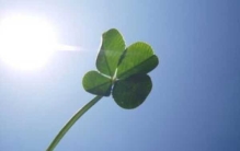 人走好运有哪些征兆?人要走好运的20个征兆