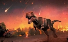 太阳可能有一个伴星，周期2600万年，每次靠近都会引发物种灭绝