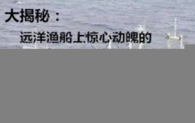 “鲁荣渔2682号”惨案,鲁荣渔2682号惨案纪实
