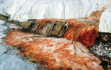 血瀑布是如何吃人?“血”都是铁氧化的结果(非真实血液)