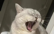 iPhone惊现灵异BUG直接拍出无头照