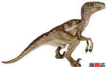 迅猛龙VS霸王龙谁你还?迅猛龙能否猎杀霸王龙