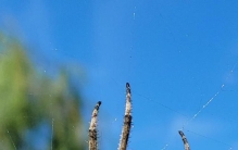 垂钓经历过的囧事有哪些,钓鱼的囧事100条