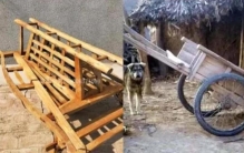 农村亲身经历的怪事小说,你经历过的农村邪门事件