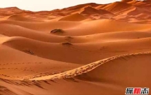 关于撒哈拉沙漠的10大故事,复活植物无水存活100多年