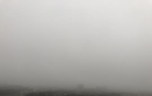 奇闻异事录盲目先生雪夜遇险黄毛灵犬白日救人