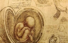 来自未来的人达芬奇？十大神秘迹象证明达芬奇是穿越者