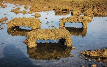 1605年琼北大地震：海口72个村庄瞬间沉海(仅剩北港岛)