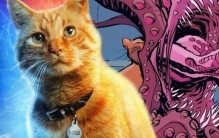 噬元兽为啥要抓瞎局长?难道是发现局长是他人假扮