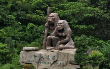 神农架野人新闻,中国神农架野人事件