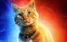 噬元兽危险等级极高 外表软萌口可吞下世界万物