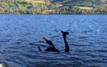 揭秘四川瓦屋山水怪真相，神秘怪物实则密度大的鱼群