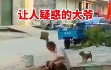 人类的迷惑操作,人类大型迷惑行为