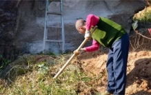 老农挖到一堆怪石头  以一个7毛卖掉  最后得知竟是国宝