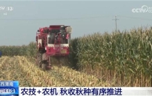 五谷丰登粮满仓 全国多地秋种忙 粮食产量高