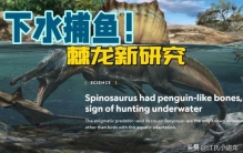 古生物学家发布棘龙潜水的又一证据是什么,现在海底有棘背龙吗