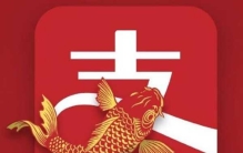 信小呆的奖是什么?信小呆怎么火的(集全球宠爱于一身)