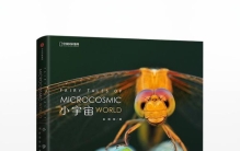 海洋中的虫子,自然界的奇妙世界