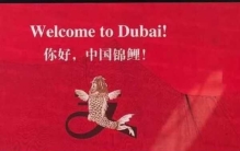 中国锦鲤奖品清单一览,中国锦鲤全球免单价值多少