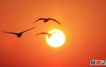 离地球最近的十大恒星 太阳是距离地球最近的恒星