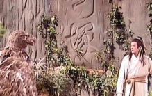 故事东北惊现巨大34神雕34,连续追杀一村民专家调查后发现端倪