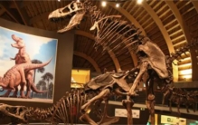 世界十大著名恐龙盘点