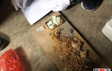 “黄金大盗”被抓时看黄金劫案 背后真相让人啼笑皆非