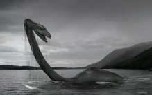 四川九龙猎塔湖水怪真相大白，疑似消失千年的克柔龙