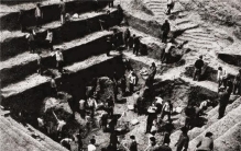 辛追夫人尸检,辛追的尸毒是什么