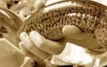 世界上最大的黄鳝鱼有多大,世界上黄鳝最大能长多大