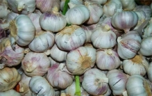 一年吃万吨大蒜的地方 每一顿都离不开大蒜（大蒜帝国）