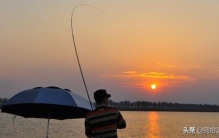 野钓三次下水抓巨物「野钓最可怕的鱼」