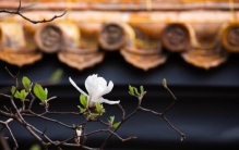 努尔哈赤为什么是贝勒,努尔哈赤子嗣表